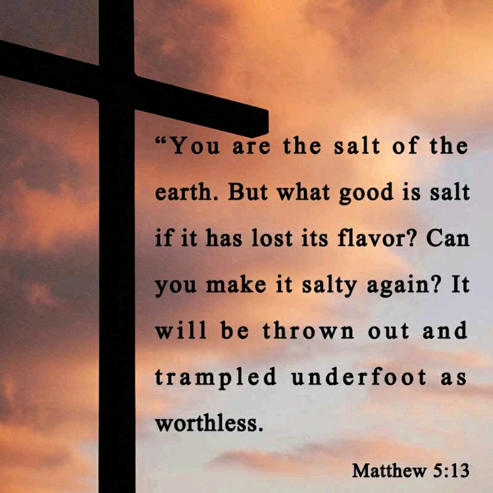 Meet your Posher, Tracey